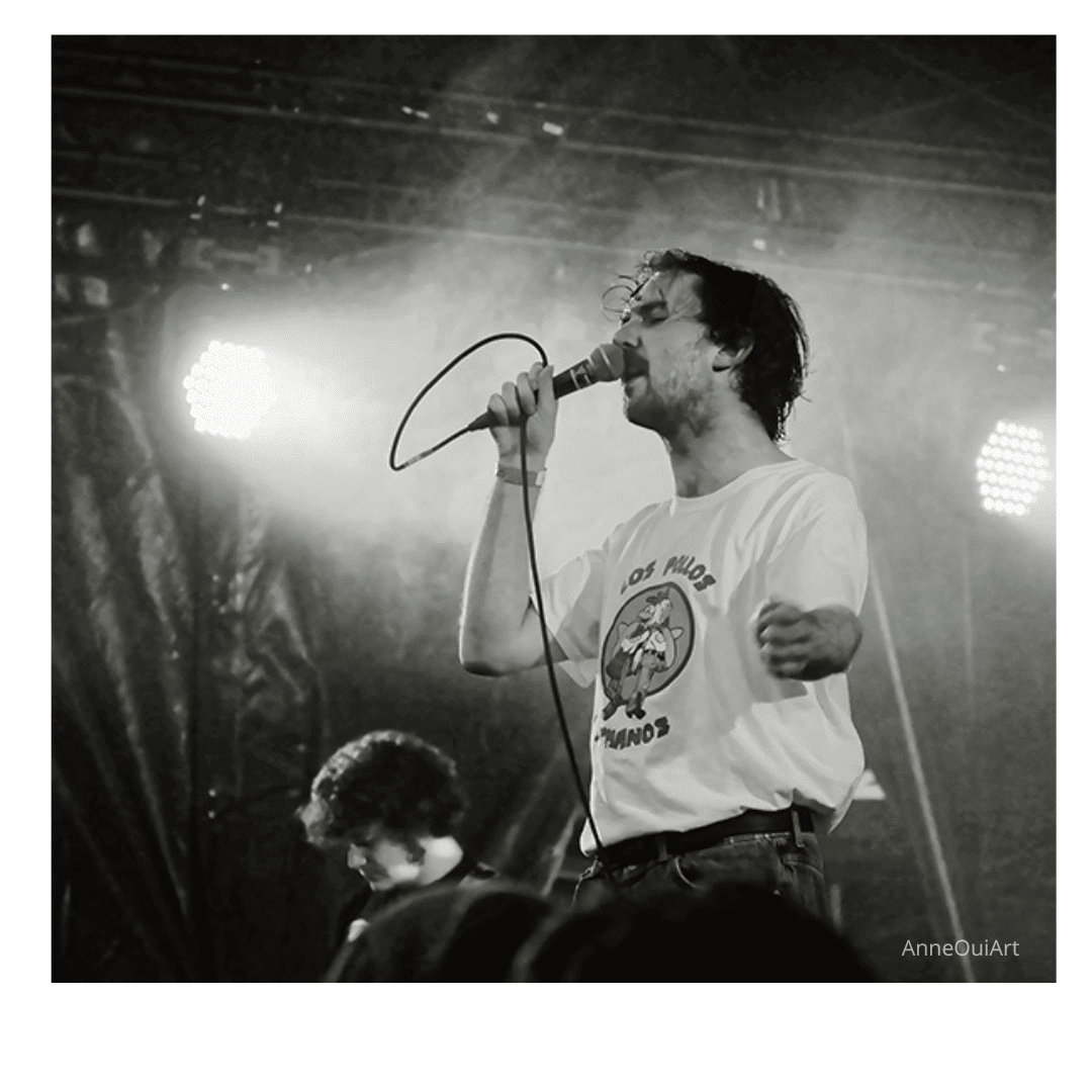photographie-concert-music-live-anne-cueff