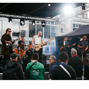 photographie-concert-music-live-anne-cueff