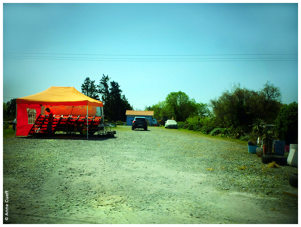 Ambiance cinématographique photographie d'un vendeur d'oranges sur le bord de la route.
